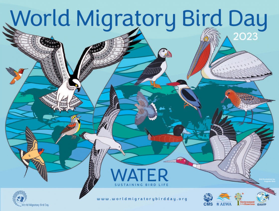 World Migratory Bird Day 2023 Global Campaign Poster Unveiled World